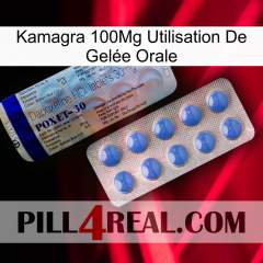 Kamagra 100Mg Utilisation De Gelée Orale 39